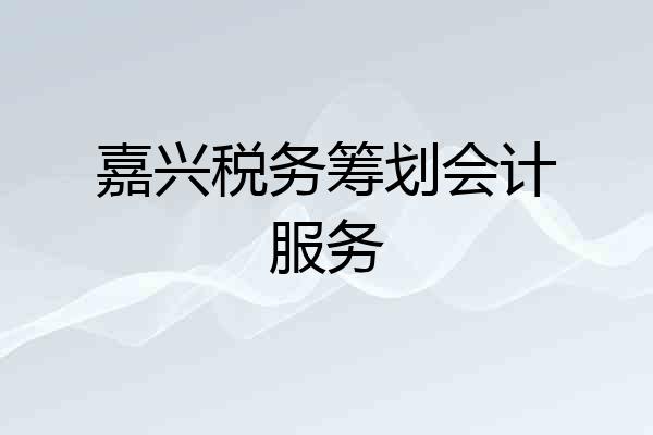 嘉兴税务筹划会计服务