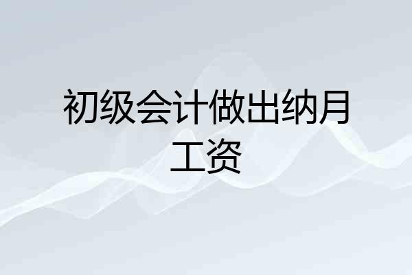 初级会计做出纳月工资