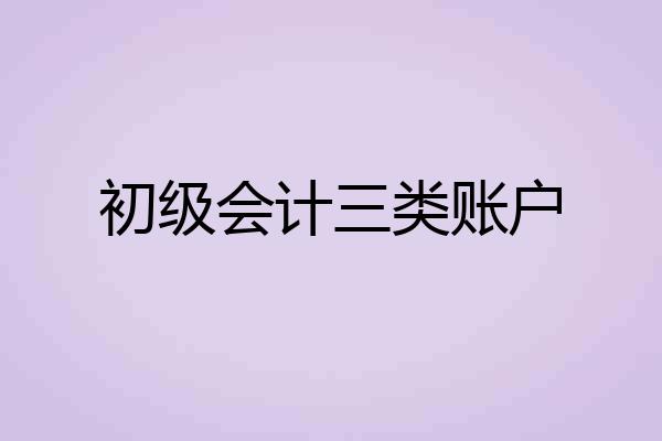 初级会计三类账户