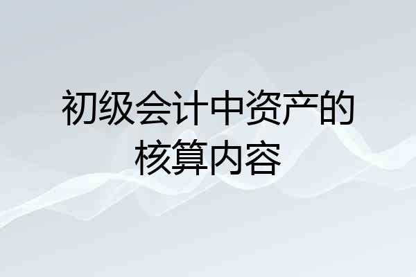 初级会计中资产的核算内容