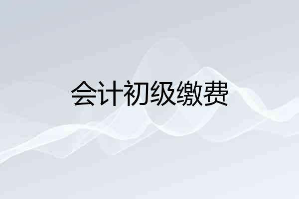 会计初级缴费