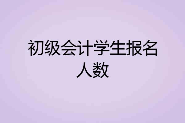 初级会计学生报名人数