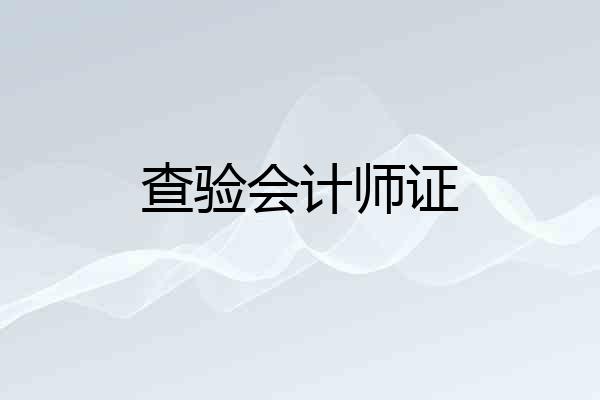 查验会计师证