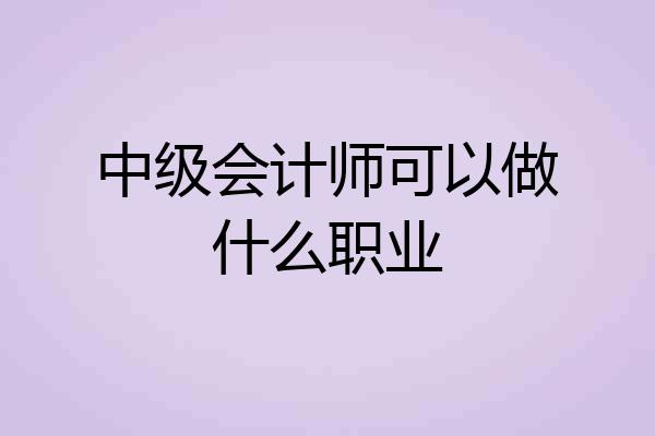 中级会计师可以做什么职业