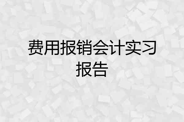 费用报销会计实习报告