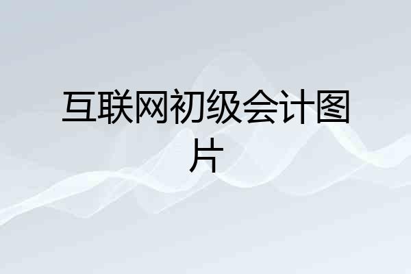 互联网初级会计图片