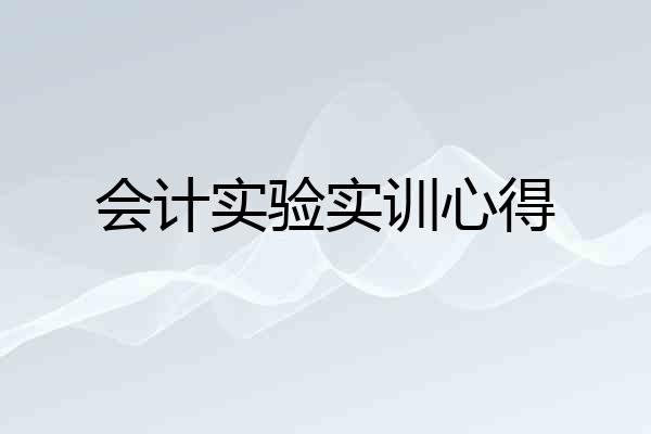 会计实验实训心得