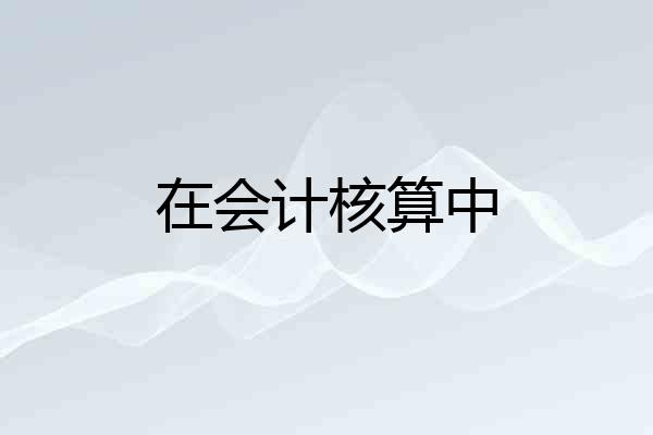 在会计核算中