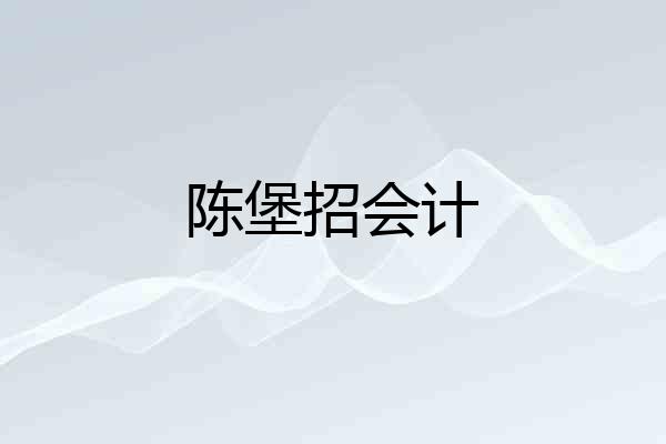 陈堡招会计