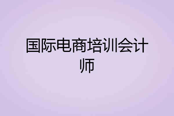 国际电商培训会计师