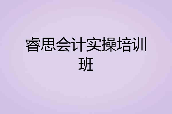 睿思会计实操培训班