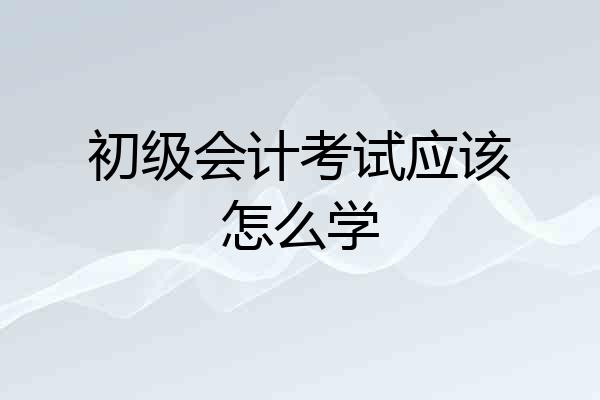 初级会计考试应该怎么学