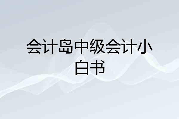 会计岛中级会计小白书