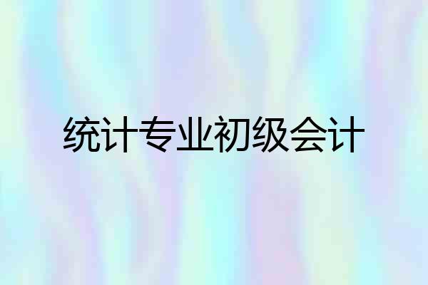 统计专业初级会计