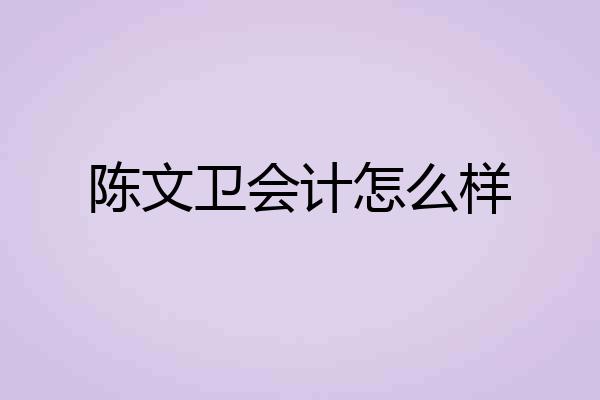 陈文卫会计怎么样