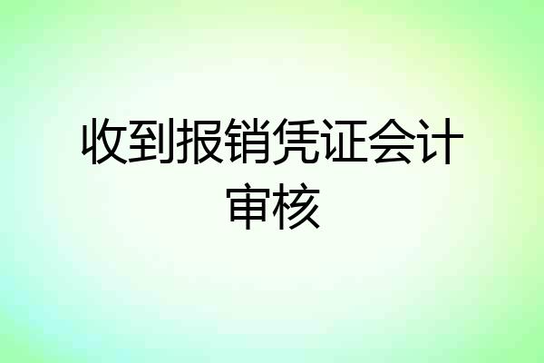 收到报销凭证会计审核