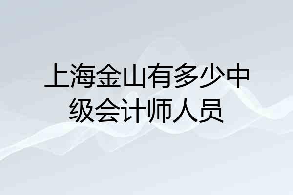 上海金山有多少中级会计师人员