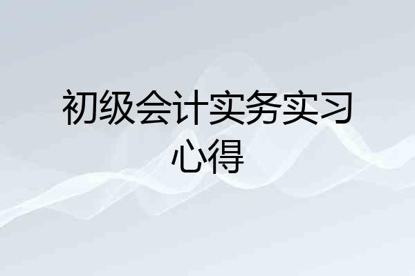 初级会计实务实习心得
