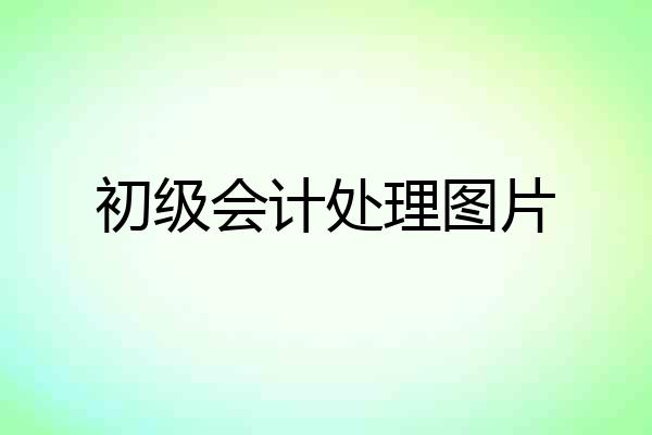 初级会计处理图片