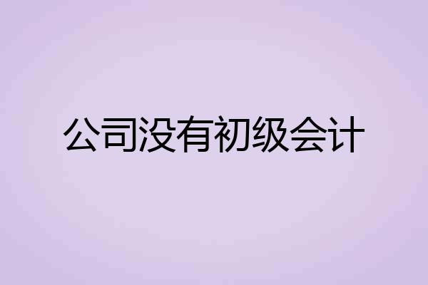 公司没有初级会计