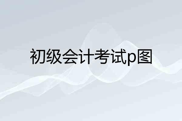 初级会计考试p图