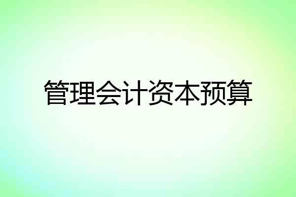 管理会计资本预算