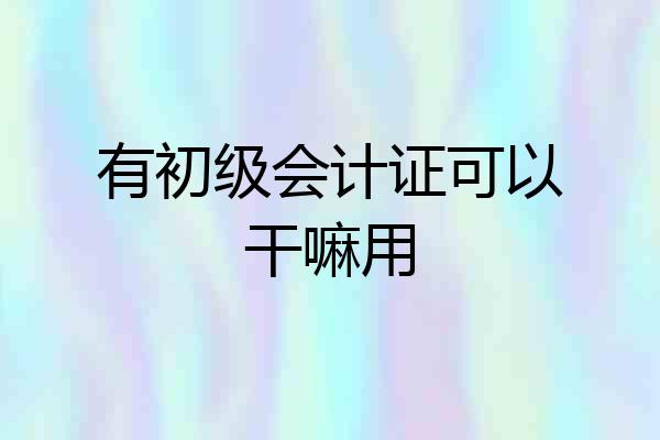 有初级会计证可以干嘛用