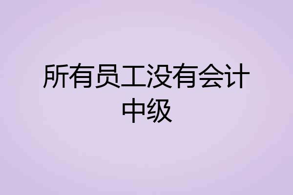 所有员工没有会计中级