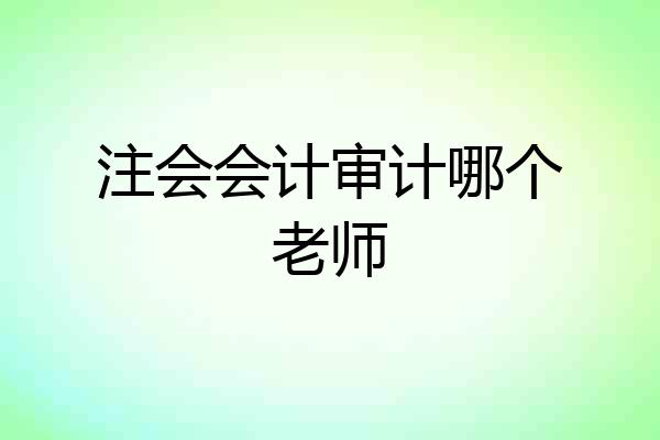 注会会计审计哪个老师
