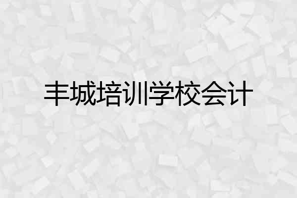 丰城培训学校会计