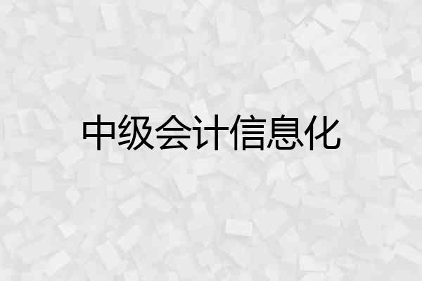 中级会计信息化