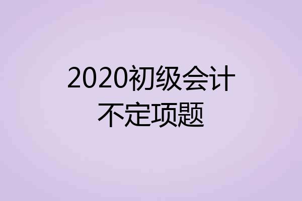 2020初级会计不定项题