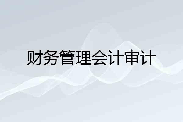 财务管理会计审计