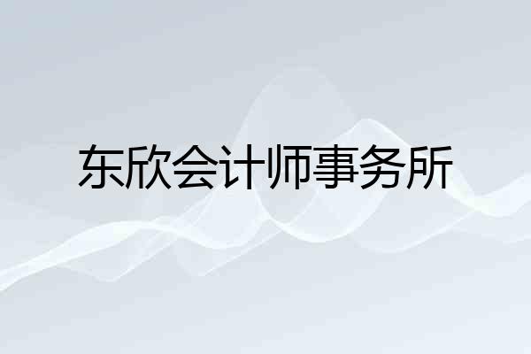 东欣会计师事务所