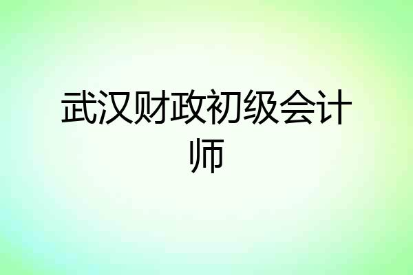 武汉财政初级会计师