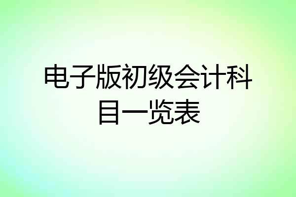 电子版初级会计科目一览表