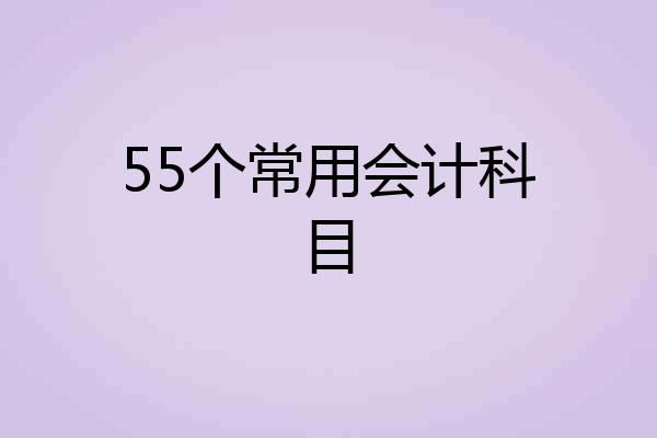 55个常用会计科目
