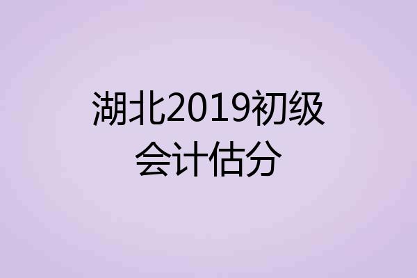 湖北2019初级会计估分