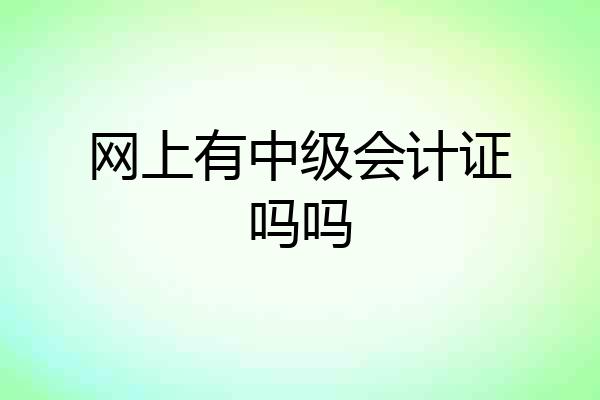网上有中级会计证吗吗