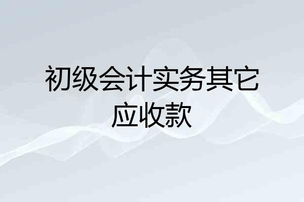 初级会计实务其它应收款