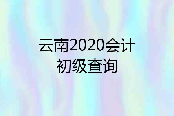 云南2020会计初级查询