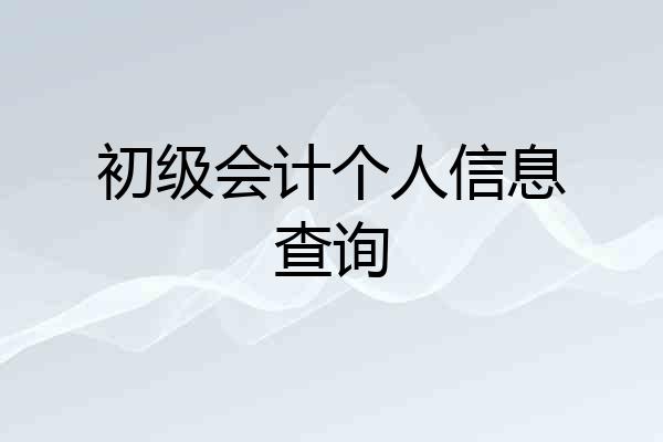 初级会计个人信息查询