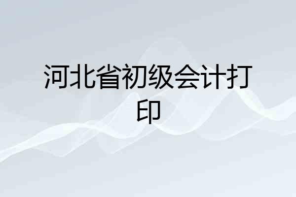 河北省初级会计打印