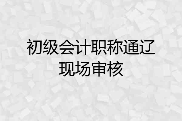初级会计职称通辽现场审核