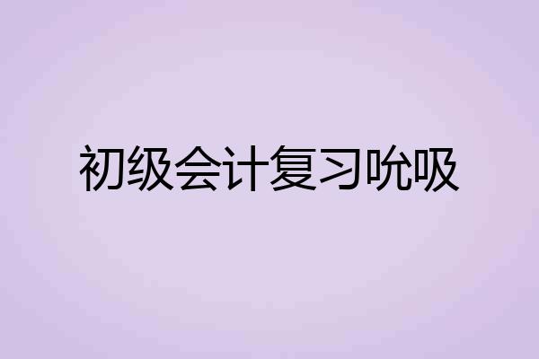 初级会计复习吮吸