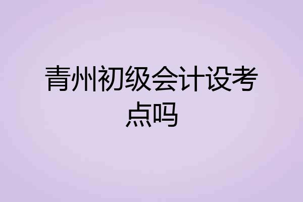 青州初级会计设考点吗
