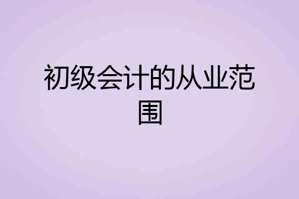 初级会计的从业范围
