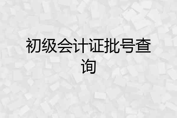 初级会计证批号查询