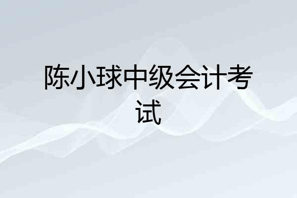 陈小球中级会计考试