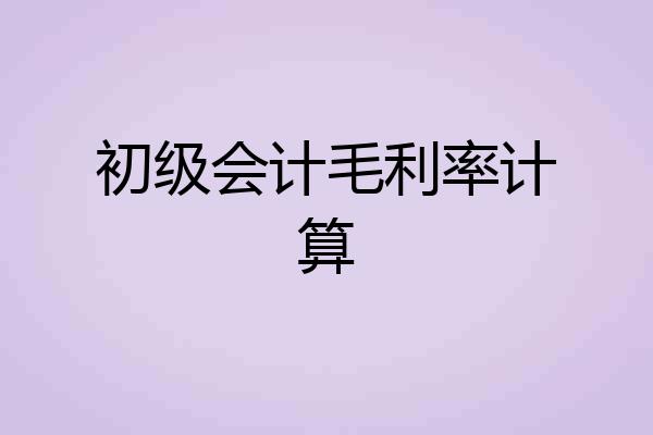 初级会计毛利率计算